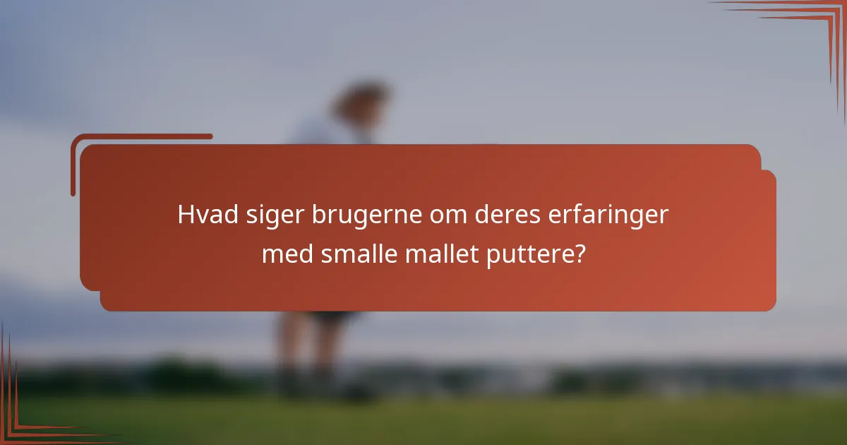 Hvad siger brugerne om deres erfaringer med smalle mallet puttere?