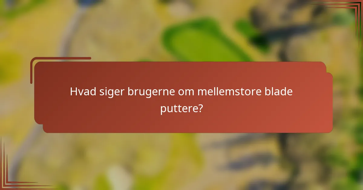 Hvad siger brugerne om mellemstore blade puttere?