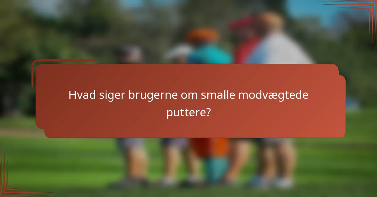 Hvad siger brugerne om smalle modvægtede puttere?