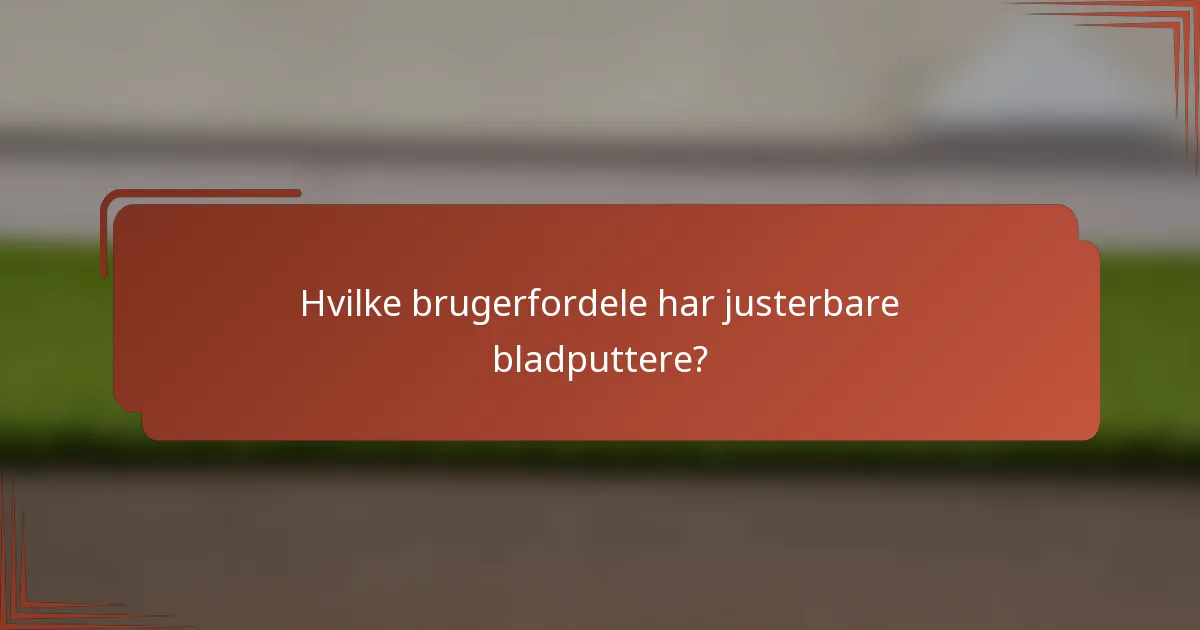 Hvilke brugerfordele har justerbare bladputtere?