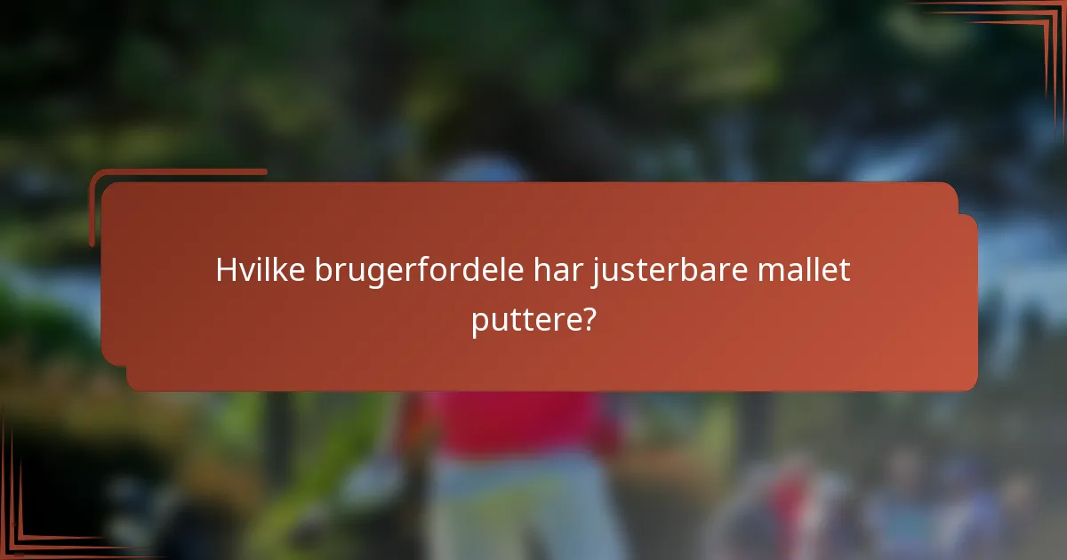 Hvilke brugerfordele har justerbare mallet puttere?