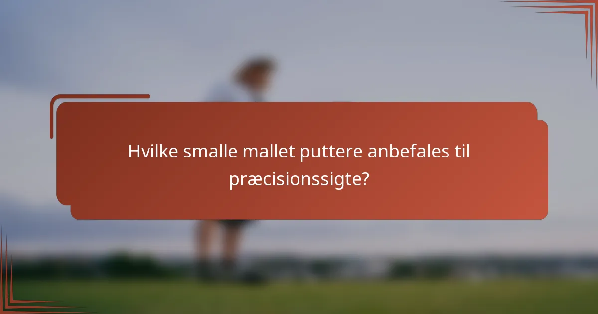 Hvilke smalle mallet puttere anbefales til præcisionssigte?