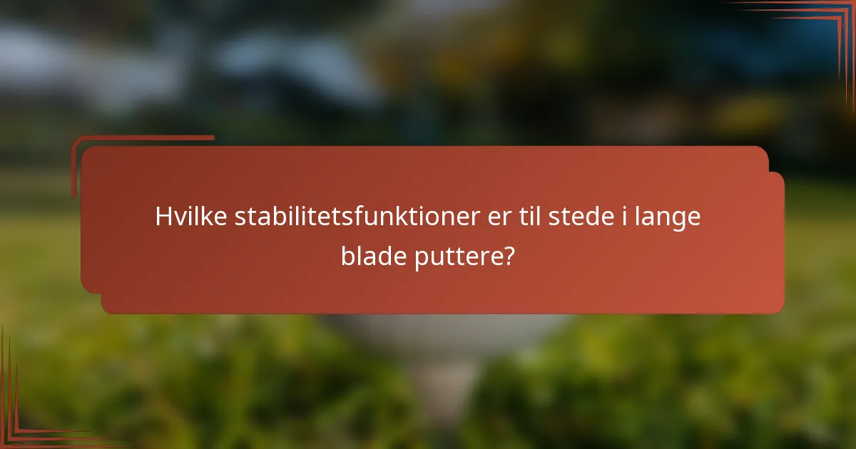 Hvilke stabilitetsfunktioner er til stede i lange blade puttere?